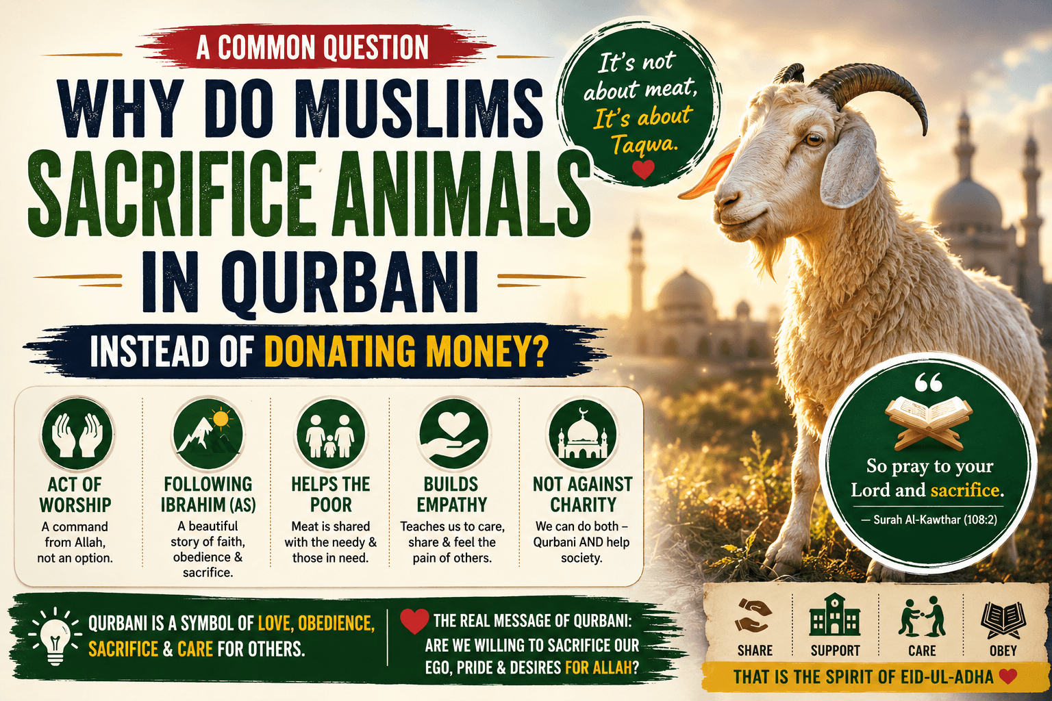 Why Do Muslims Sacrifice Animals in Qurbani Instead of Donating Money?